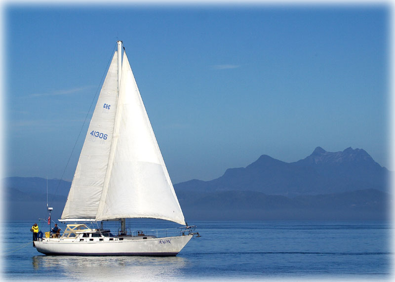 whale research vessel
