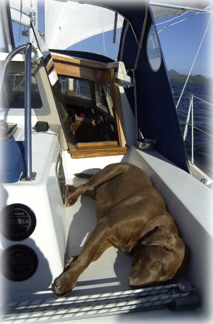 whale research vessel