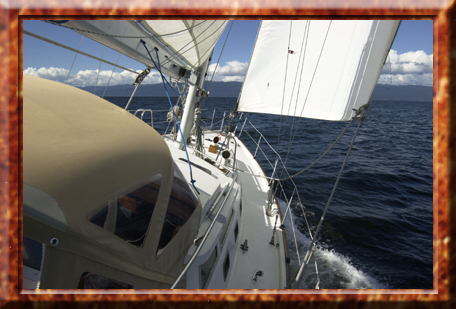 anon search Luna L-Pod