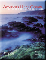 whale research