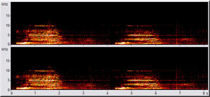 spectrogram of Luna's rising call